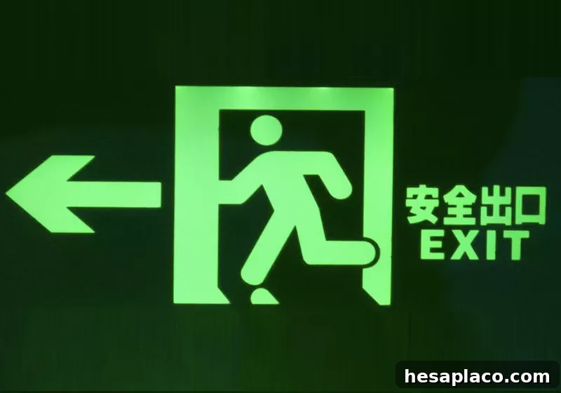 International Exit Plan