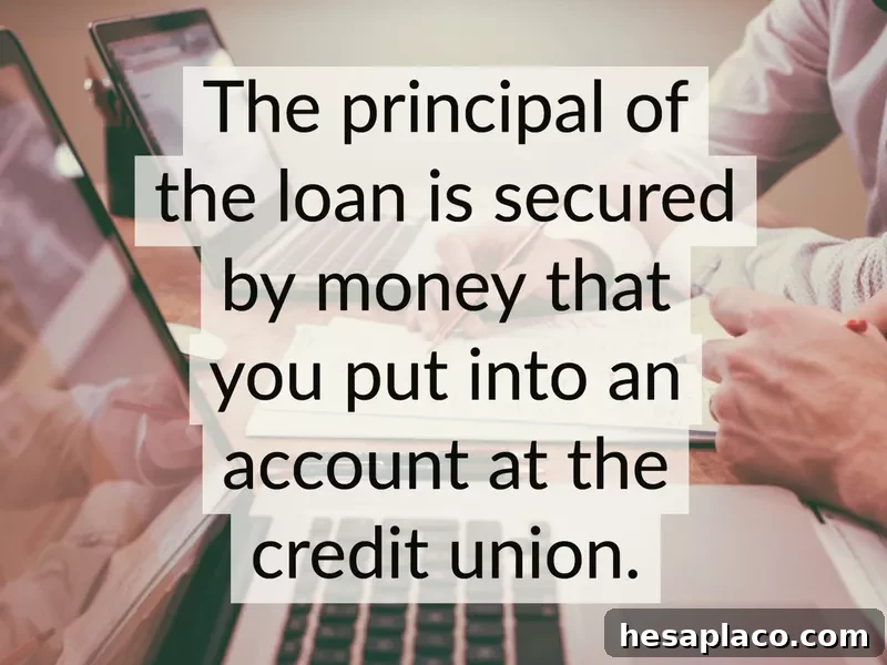 Proven Steps to Raise Your Credit Score Quickly 11 Credit-builder loan