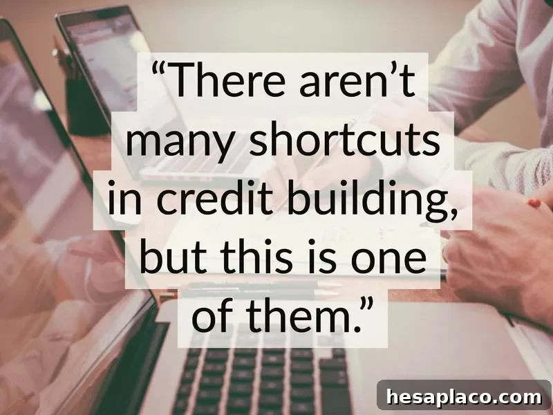 Proven Steps to Raise Your Credit Score Quickly 8 Authorized user benefit