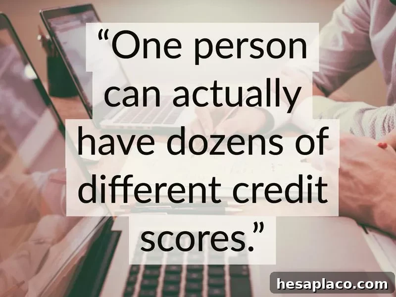 Proven Steps to Raise Your Credit Score Quickly 9 Multiple credit scores
