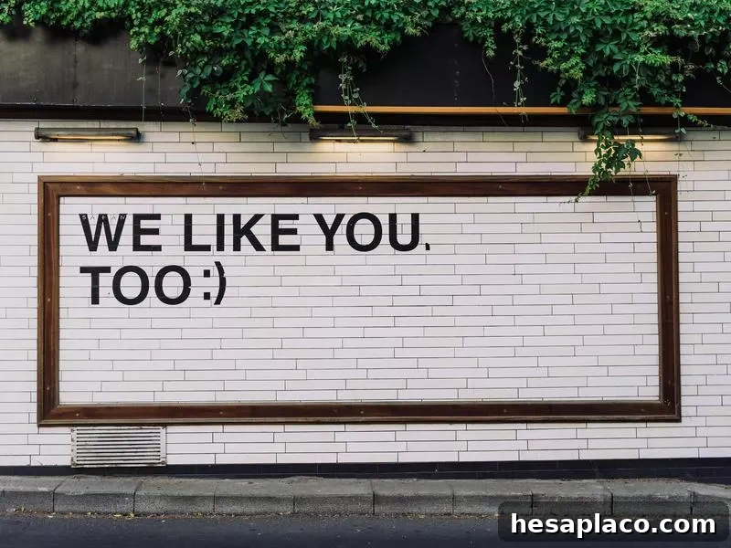 we like you