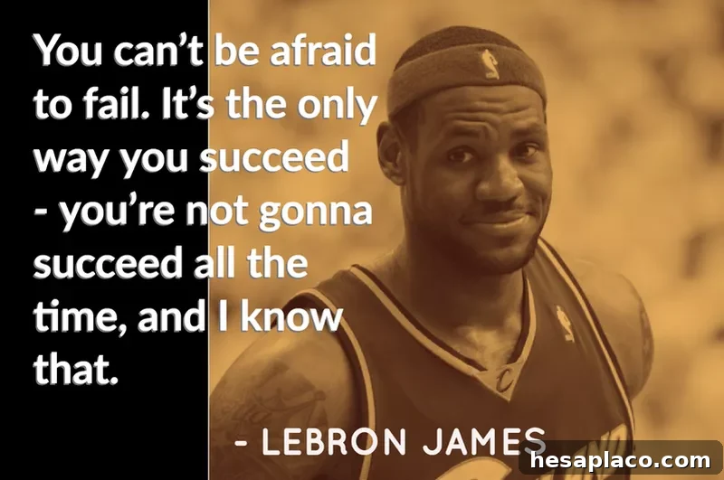 Lebron James quote