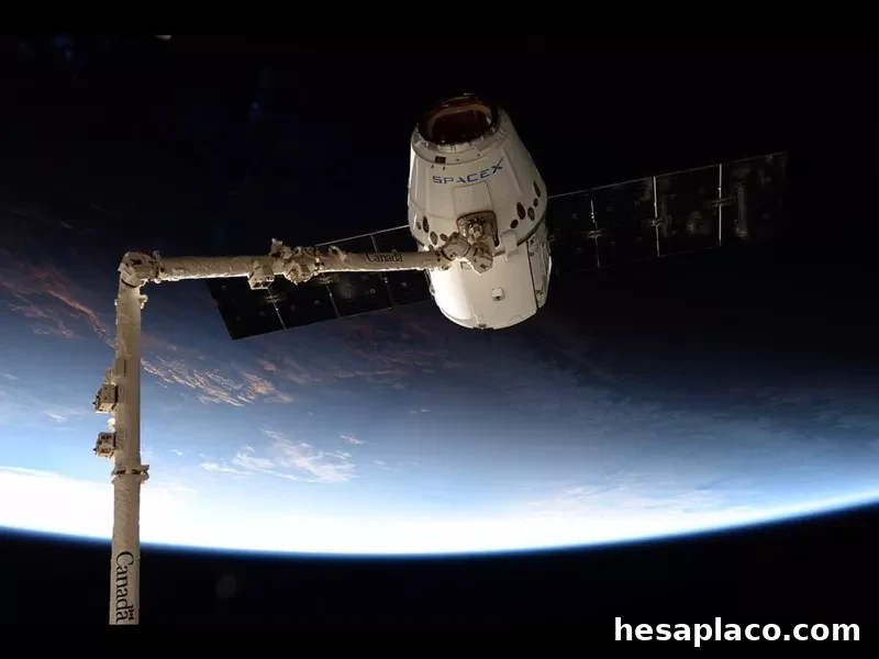 SpaceX and Elon Musk
