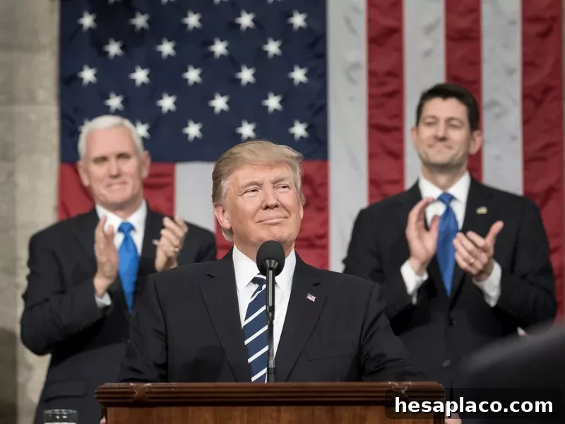 Elon Musk worked with President Donald Trump