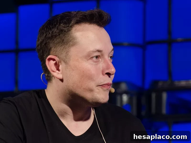 Elon Musk early days