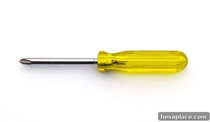 Jeff Bezos screwdriver