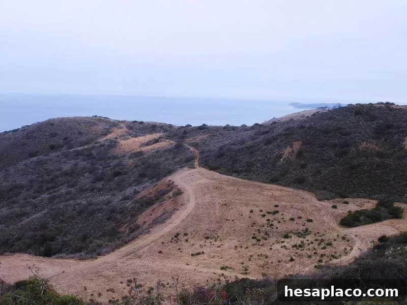 Cameron Nature Preserve