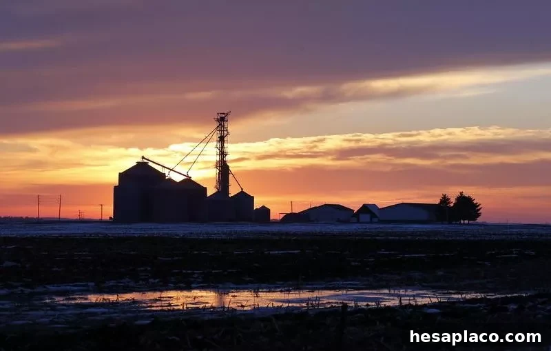 Iowa