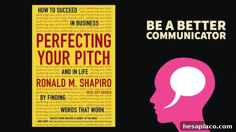 Perfecting Your Pitch: How to Succeed in Business and in Life By Finding Words That Work