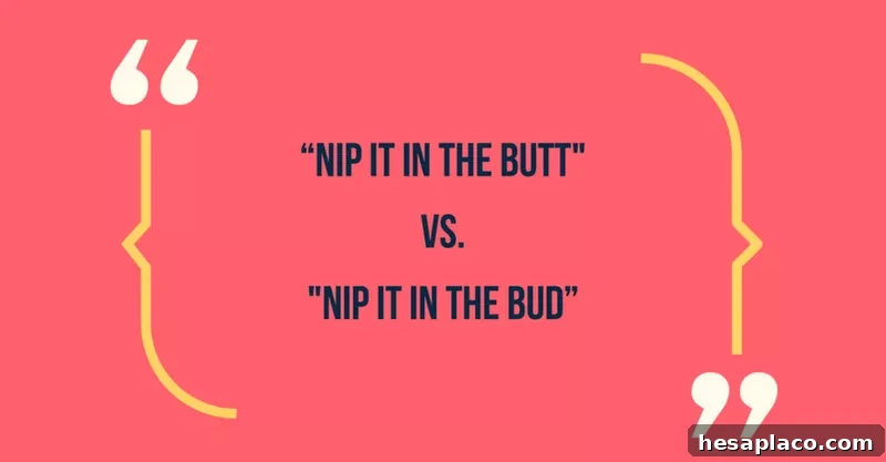 Common Phrases That Make You Sound Unprofessional (and How to Fix Them) 12 Nip it in the bud