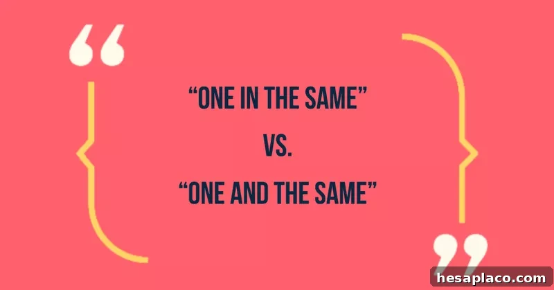 Common Phrases That Make You Sound Unprofessional (and How to Fix Them) 4 Misused Phrase: One and the same