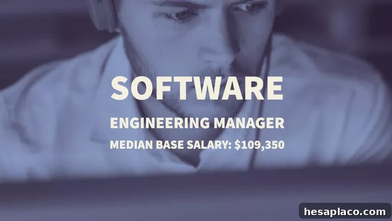 Software Engineering Manager