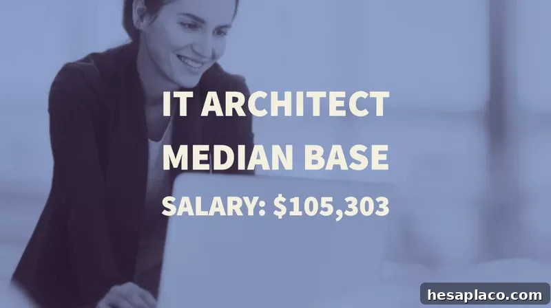 IT Architect