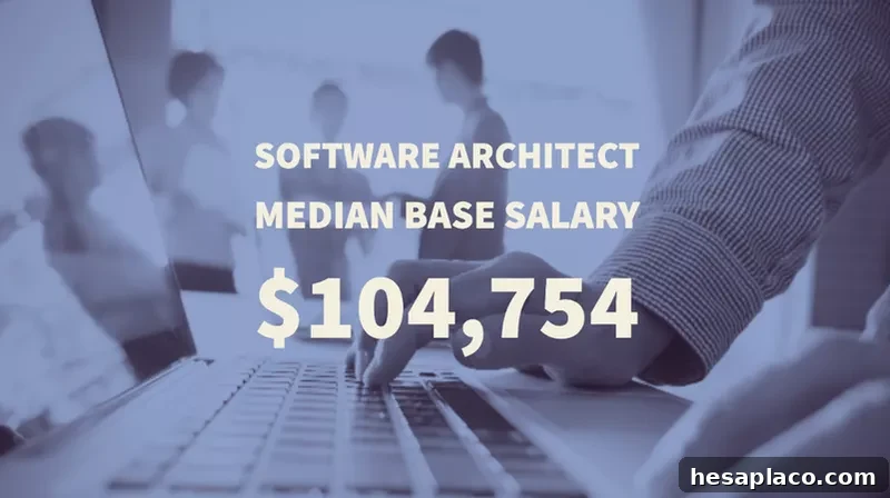 Software Architect