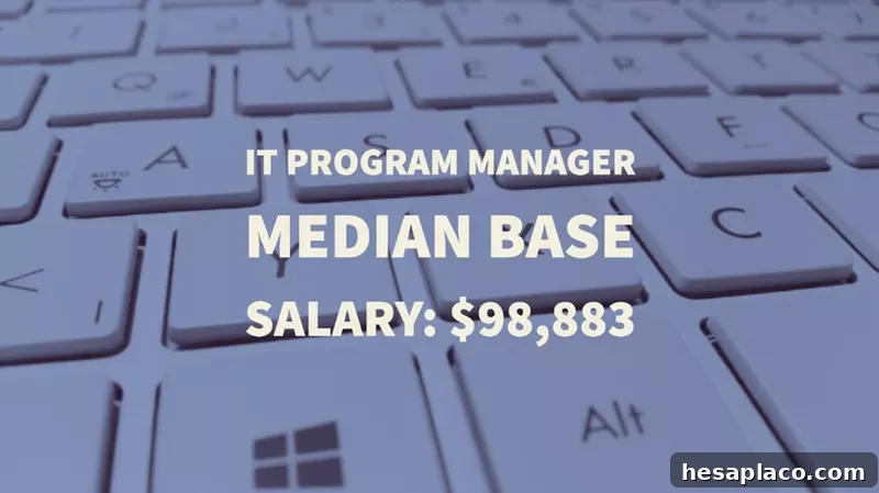Top Highest-Paying Careers This Year: Where the Big Salaries Are 18 IT Program Manager