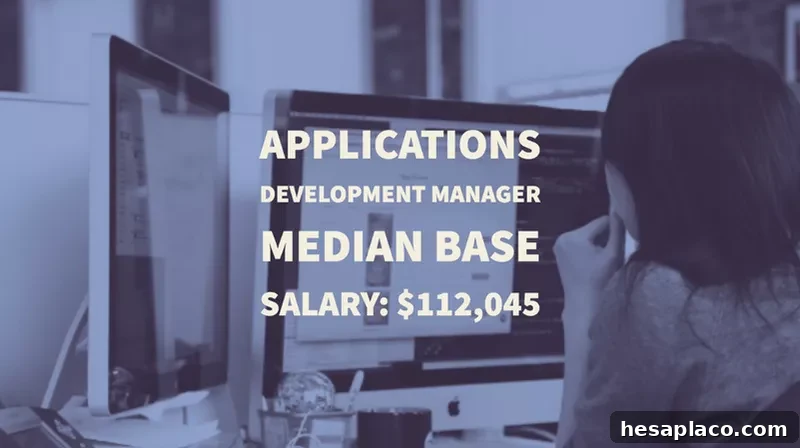 Applications Development Manager