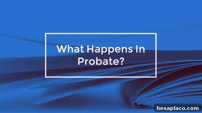Wills vs Trusts: Key Differences and Which One You Need 7 What Happens In Probate?
