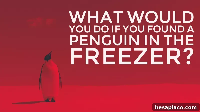 Penguin in the freezer