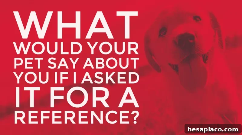 Pet reference job interview.