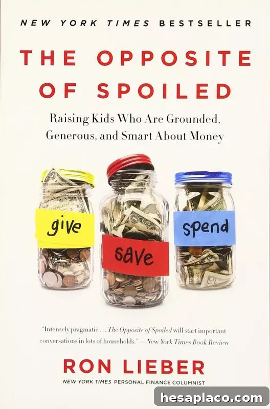 Top 17 Personal Finance Books to Transform Your Money Skills 14 The Opposite of Spoiled: Raising Kids Who Are Grounded, Generous, and Smart About Money' By Ron Lieber