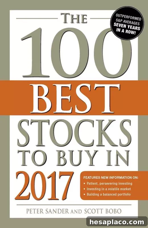 Top 17 Personal Finance Books to Transform Your Money Skills 16 The 100 Best Stocks To Buy In 2017' By Peter Sander & Scott Bobo