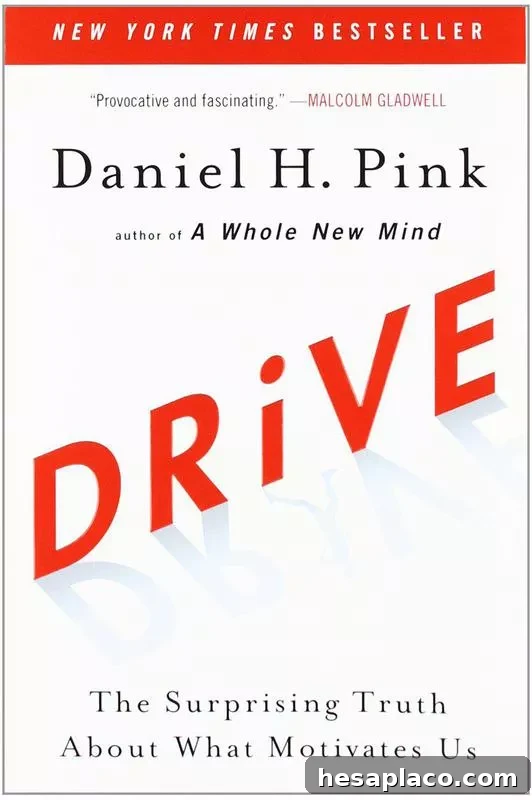 100 Leadership Books That Will Accelerate Your Career 13 Drive cover