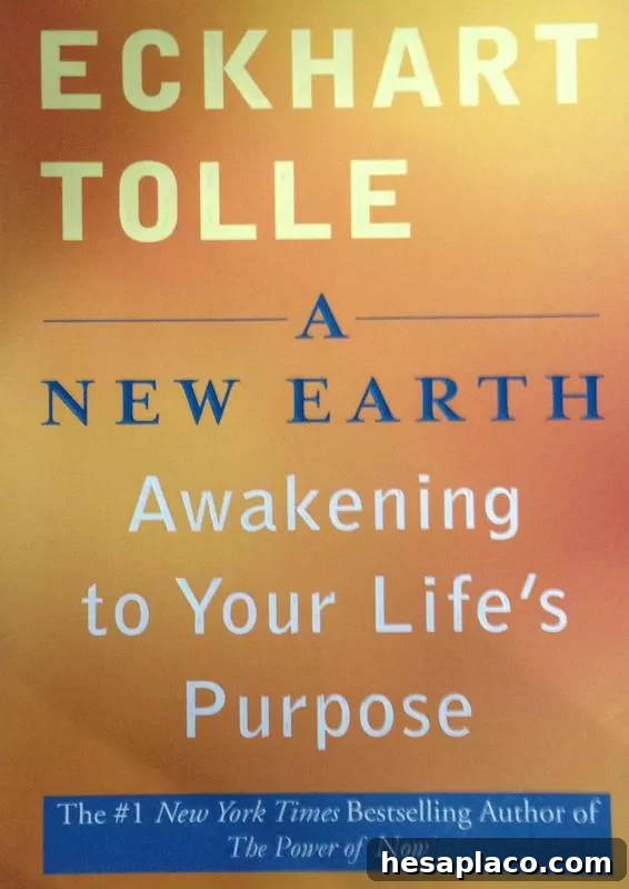 100 Leadership Books That Will Accelerate Your Career 3 A New Earth cover