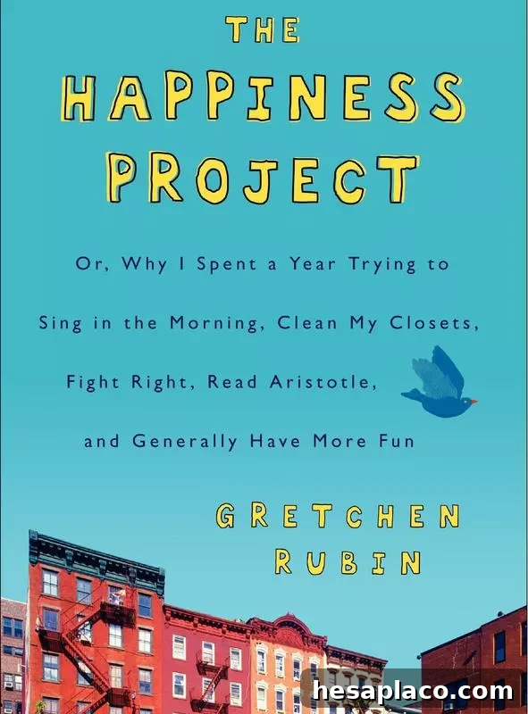 The Happiness Project cover