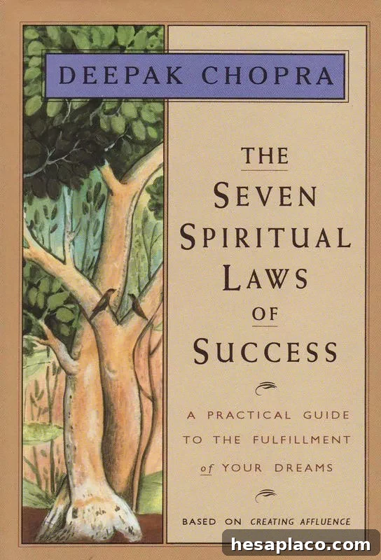 The Seven Spiritual Laws of Success cover
