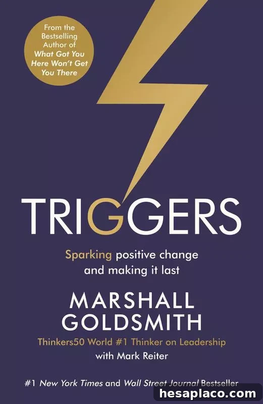 100 Leadership Books That Will Accelerate Your Career 93 Triggers cover
