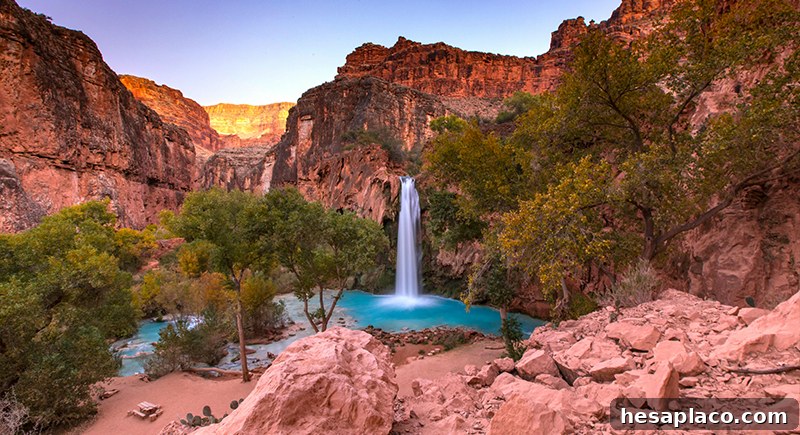 Arizona desert landscape