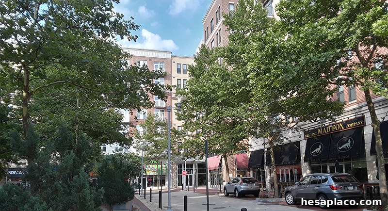 Falls Church City
