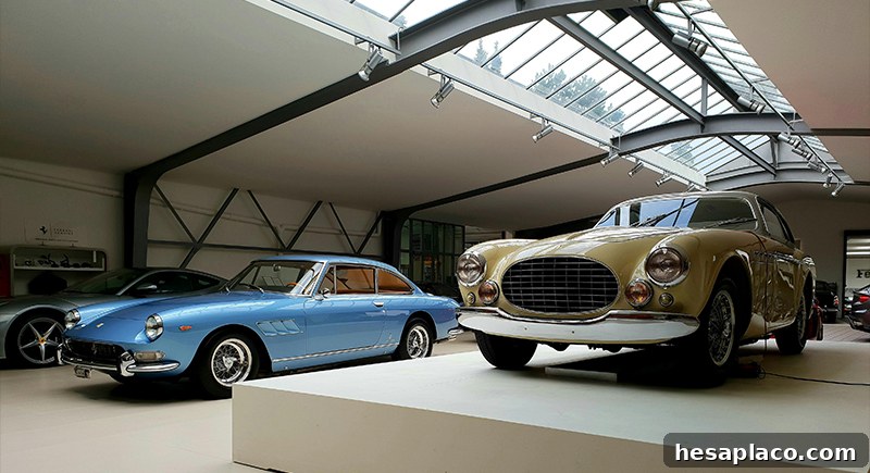 img 202921 13