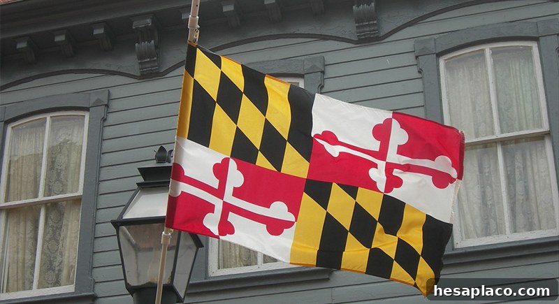 Chesapeake Bay