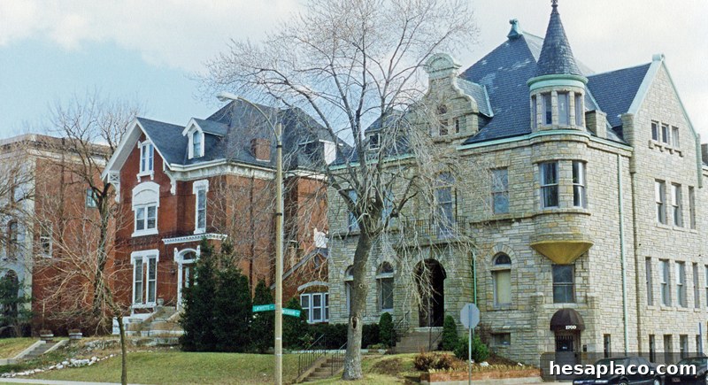 img 203079 13