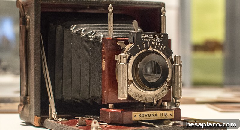 Vintage camera