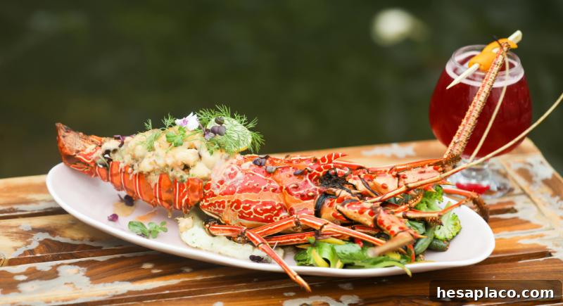 Lobster