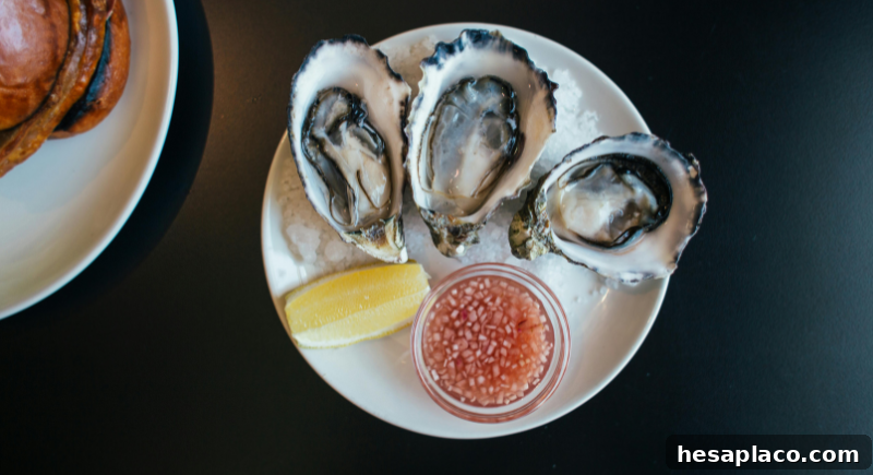 Oysters