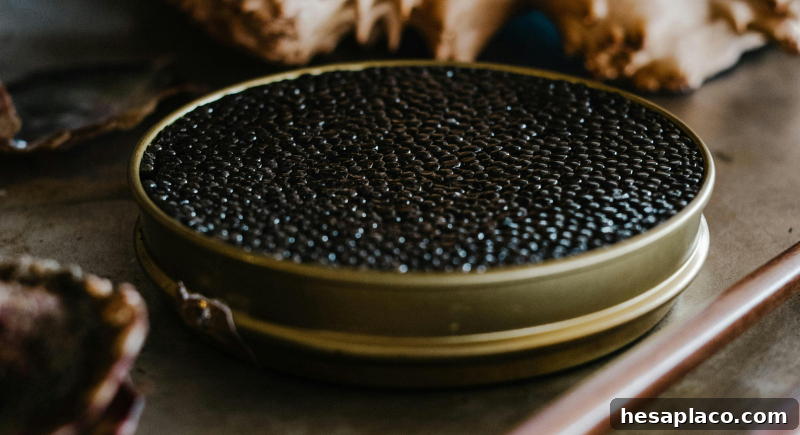 Caviar