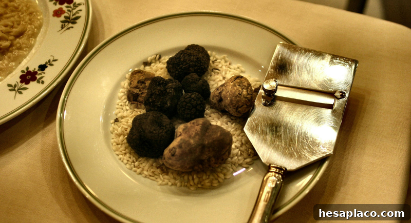 Truffles