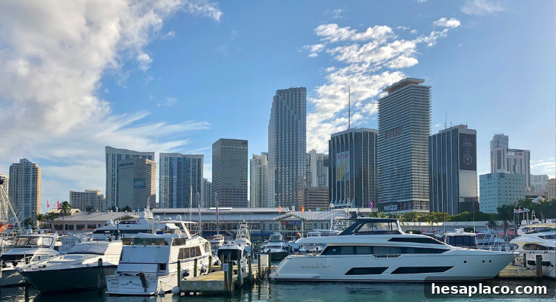 Miami skyline