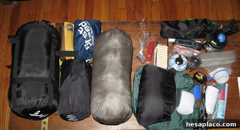 img 205202 7