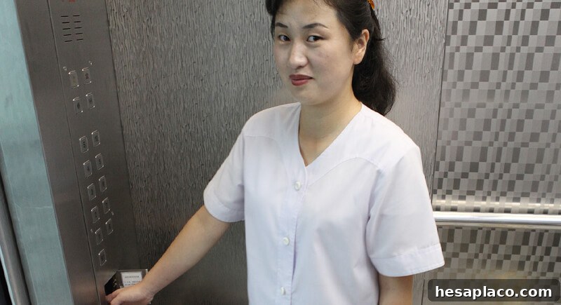 img 205279 15
