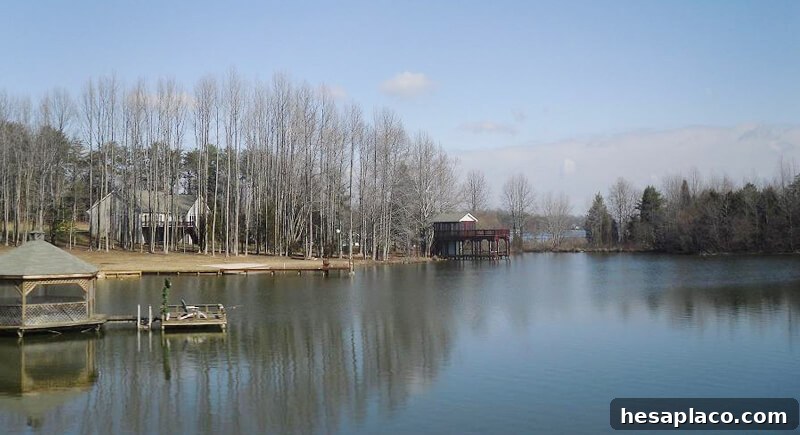 img 205599 14