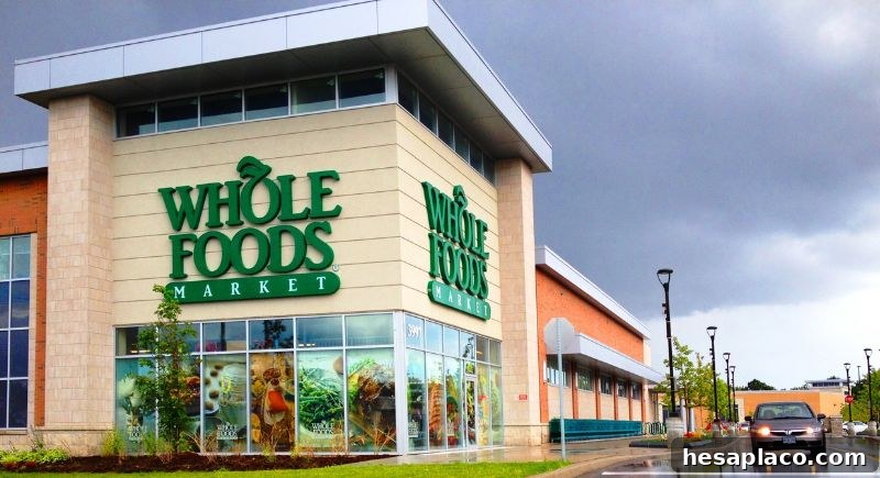 img 205602 1
