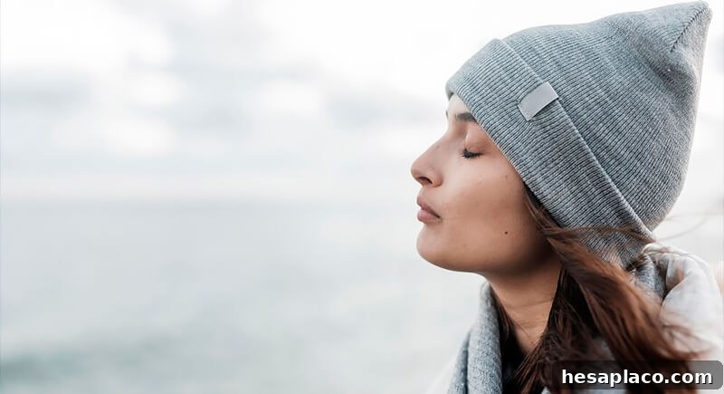 img 206859 10
