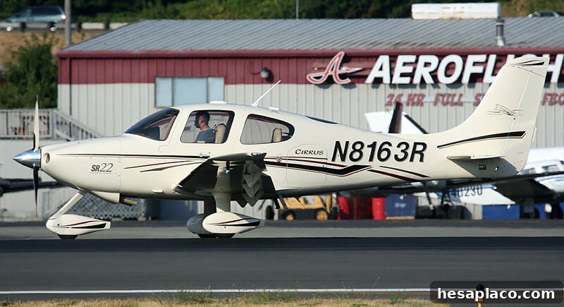 img 206901 7