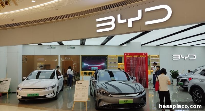 BYD electric vehicle