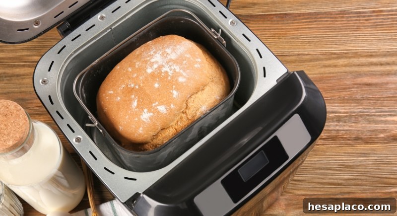 Bread maker