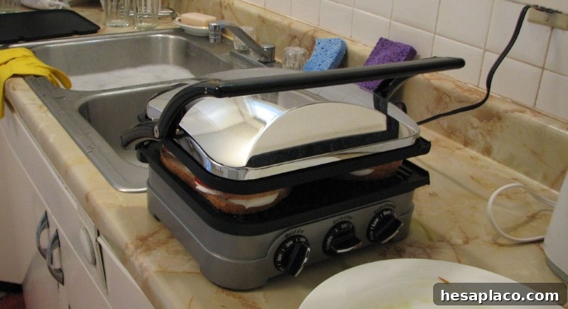 Panini press
